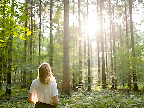 Waldbaden: Den Wald mit allen Sinne genießen