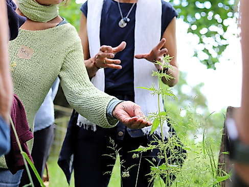 Wilde essbare Pflanzen – Vielfalt für Mensch und Tier!
