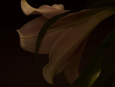 Kreuzweg für KLEINE und große in der Pauluskirche