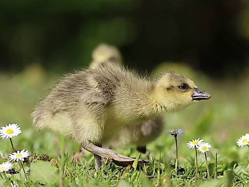 termin_21.04.26_IMG_9556