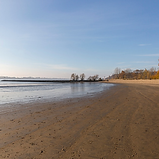 Weiter Sandstrand am Falkensteiner Ufer in Hamburg mit Blick auf die Elbe und herbstlichem Uferwald