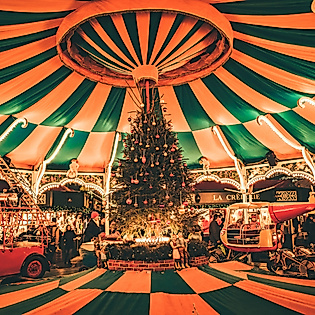 Festively lit carousel tent with vintage cars and Christmas tree at Hamburg’s Rathausmarkt Christmas market