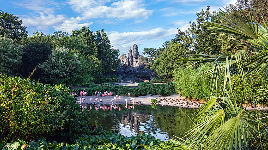 Tierpark Hagenbeck Afrikapanorama