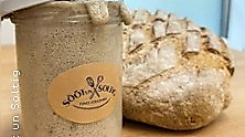 Backkurs - Sauerteig