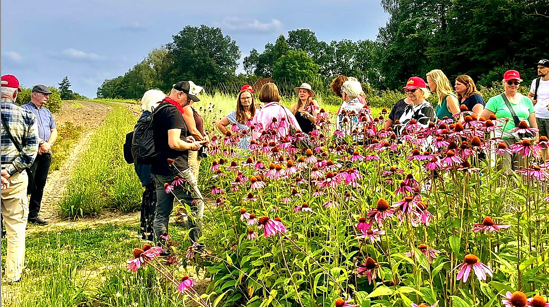 Heilpflanzen-Seminar