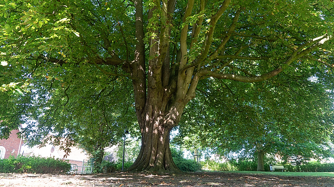 cuxhaven NATURESPONSE®
