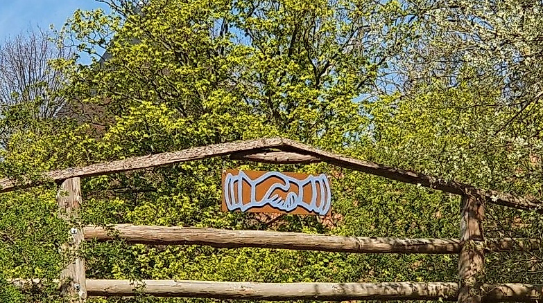 Pfadfinder-Gottesdienst