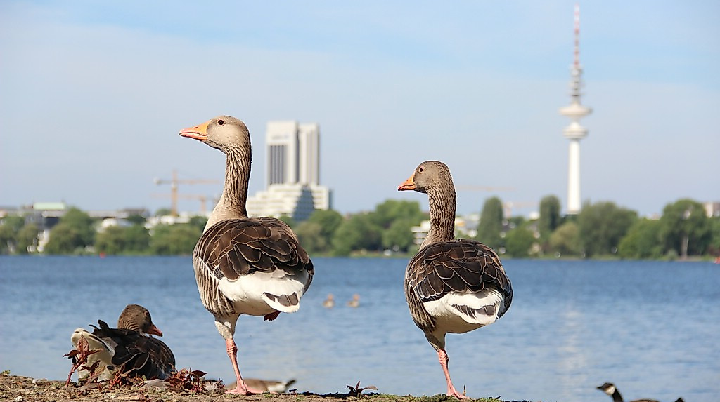 termin_15.11.26_IMG_5751_VORTRAG