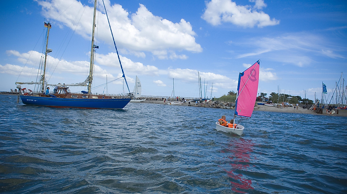 2. Opti-Cup