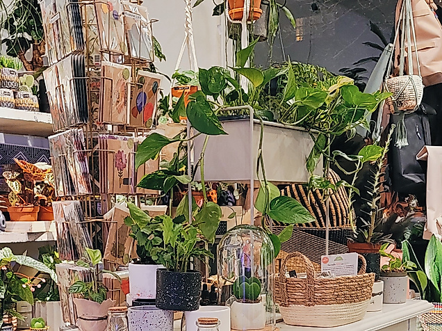 image00003-c-casou-greenery