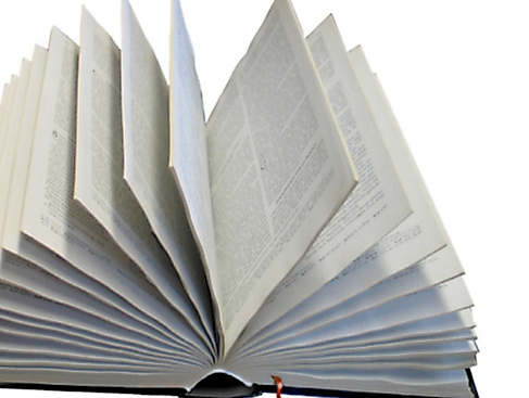 Gespräch zu biblischen Themen