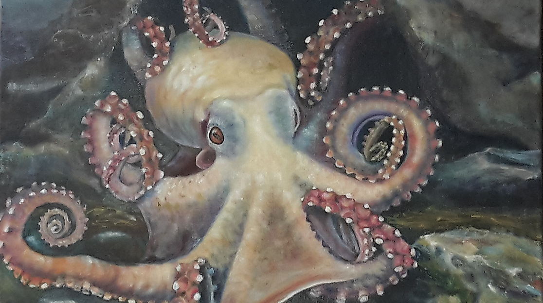 Oktopus
