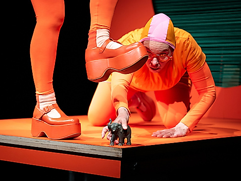 Wohin mit dem Elefanten? - Ein Spiel ohne Worte auf kleinstem Raum