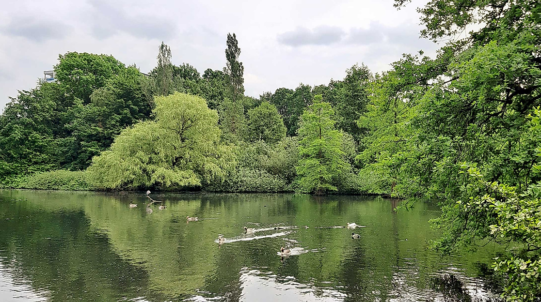 Eichtalpark-teich-c-adobeStock-Clarini