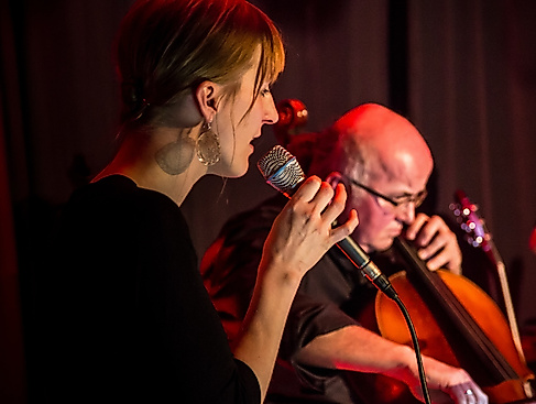 Anna Bertram (Klavier und Gesang) und Peter Köhler (Cello) sind ebenso dabei, wie Ahmad Shoaib Haidary (Gitarre), Zabih Hidayat (Gesang und Rezitation) oder Jörg-Rüdiger Geschke (Gitarre und Rezitation), Ahmad Samim Zafar (Rubab) oder Khayrullo Dadeboev (Percussion).
