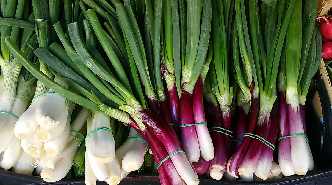 Wochenmarkt im Brunskrogweg