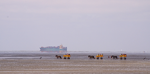 Pferdekutschen im Wattenmeer mit Blick auf Containerschiff in der Ferne unter bewölktem Himmel