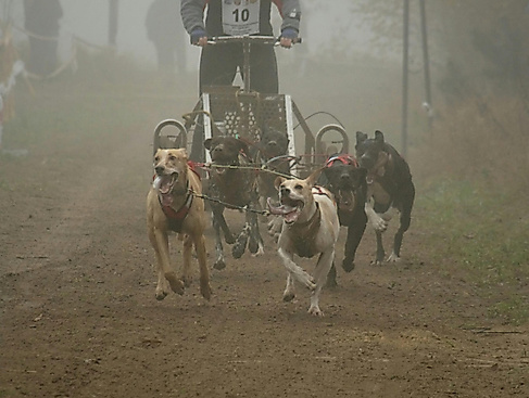 Foto von <a href="https://unsplash.com/de/@jankubi