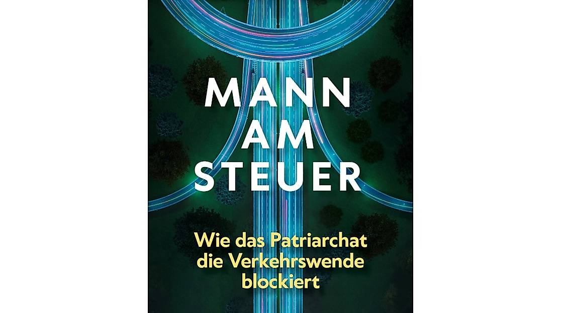 Cover "Mann am Steuer" von Boris von Heesen