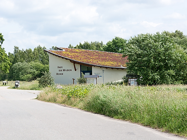 haus-der-wilden-weiden_c-johannes-beschoner-1