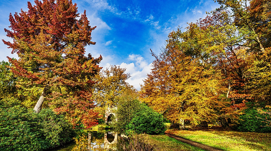 Ruine mit Amberbaum