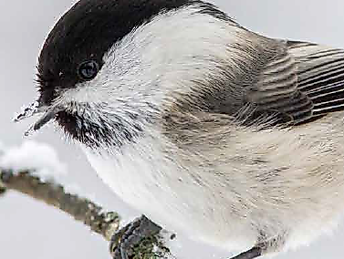 Screenshot 2025-11-26 132355