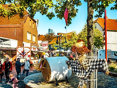 Soltauer Bauernmarkt
