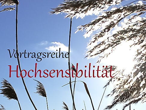 Schilf gerade - nur Himmel - quadrat links 03