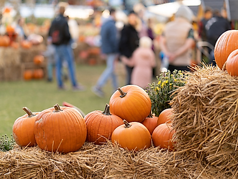 Kreativmarkt "Herbstzeit"