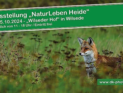 Flyer Wilseder Hof Ausstellung 2025 vorne