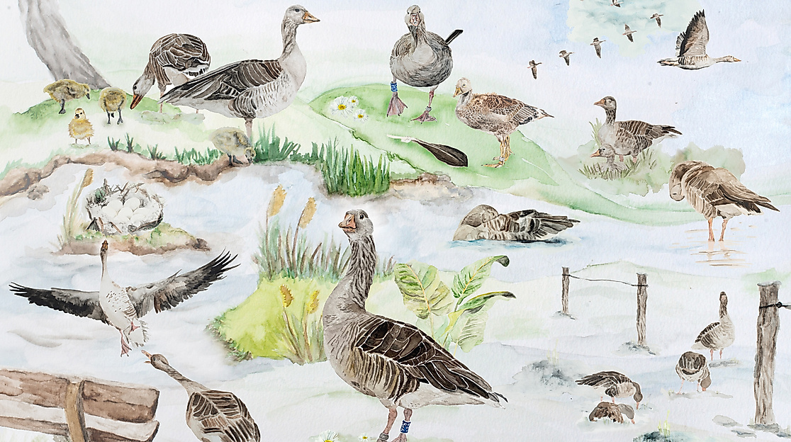 wayofthegoose_gänsejahr