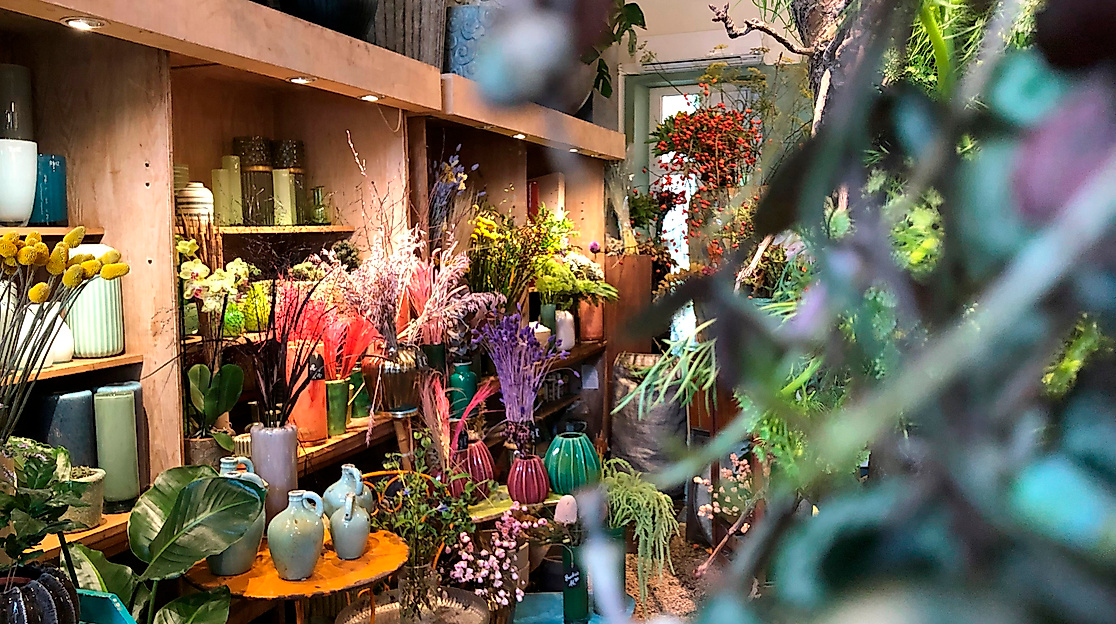 Grüne Flora in der Schanze