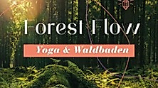 Yoga und Waldbaden im Herbstwald