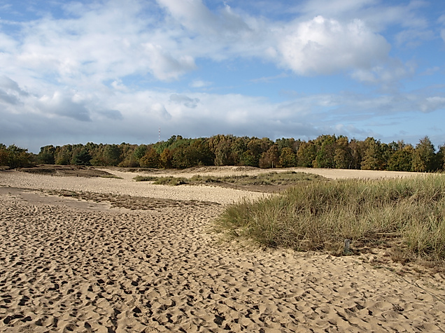Boberger Dünen