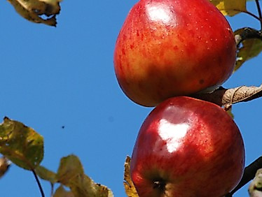 Abendmahlsgottesdienst