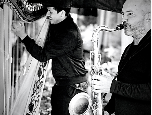 meldorfer kulturbonsche: Saxyarpa