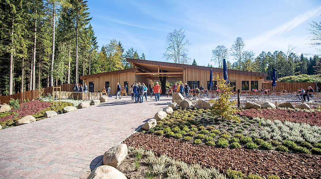 Baumwipfelpfad Heide Himmel