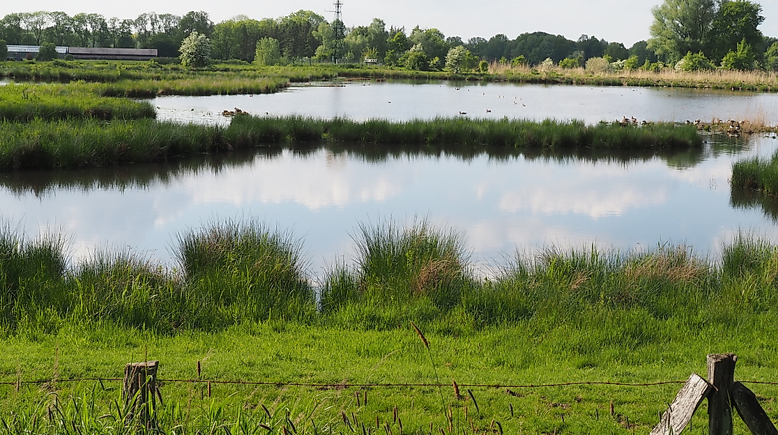 reit-1_antje-ocampo