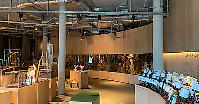 Science Center im Wälderhaus