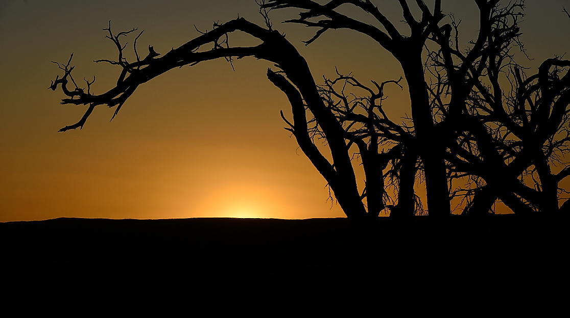Kai Horstmann: Von Gartow nach Namibia