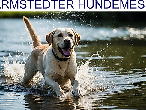 Logo Messen-de