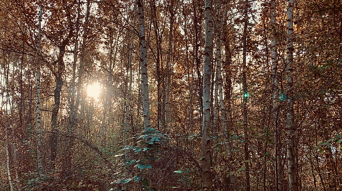 Pilgern durch die Jahreszeiten