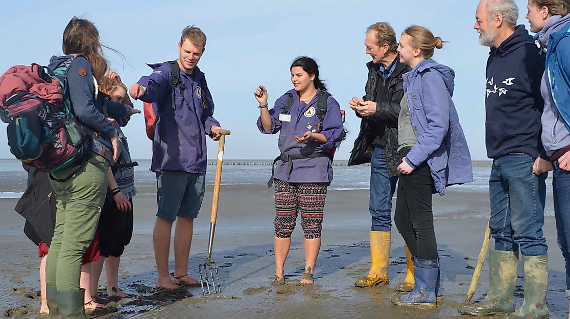 Wattwanderung in Friedrichskoog