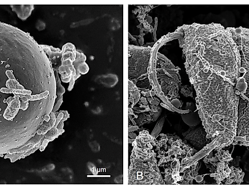 Bildschirmfoto 2026-01-14 um 14.12.59