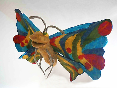 Schmetterling