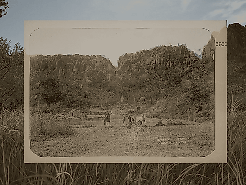 6 screening day 3 Hornkranz Waterberg credit Forensic Architecture