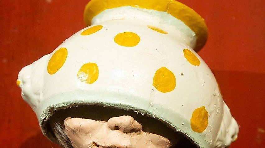 Michel in der Suppensch&uuml;ssel