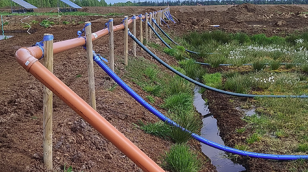 202505 Torfmoosfeld Wasserzulauf Schlaeuche