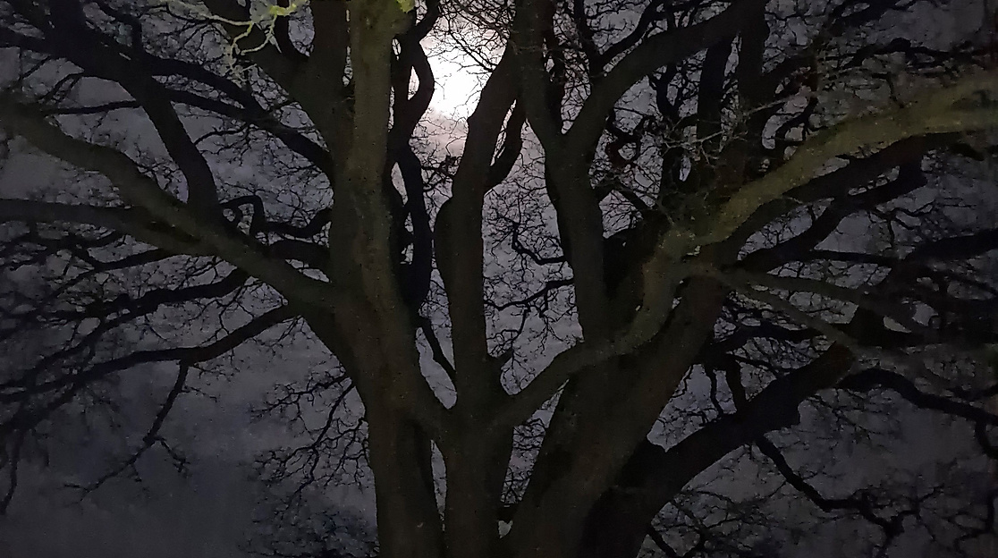 Vollmond