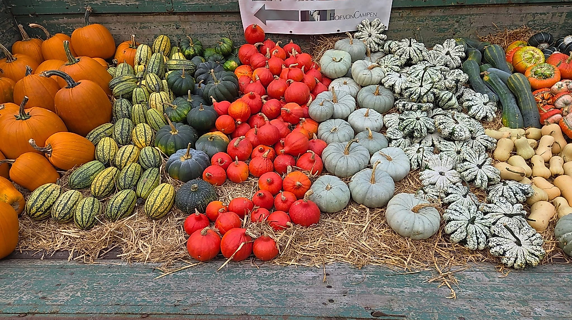 Kürbis- und Apfeltag